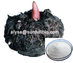 Konjac Glucomannan Powder