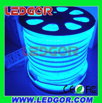 Led Neon Flex 24v Blue