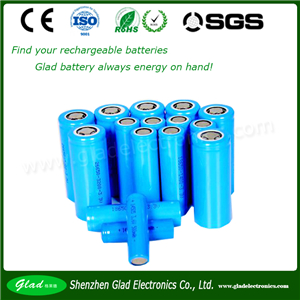 Li Ion Rechargeable Batteries