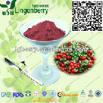 Lingonberry Juice Powder