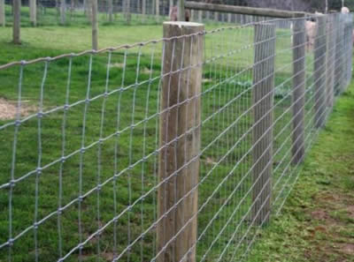 Low Carbon Field Fence Galvanized And Pvc Coated