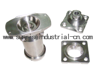 Lower Limbs Component