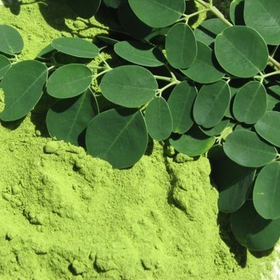 Moringa Oleifera Leaves Powder And Seeds