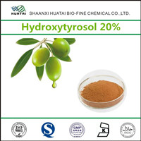 Natural Chinese Herbal Medicine Olea Europaea L Hydroxytyrosol 20 Powder