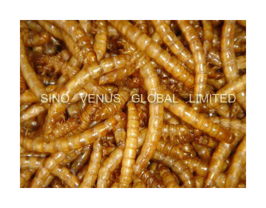 Natural Pet Food Mealworm