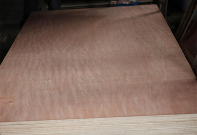 Nature Veneer 18mm Bintangor Plywood