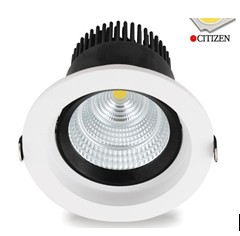 Newest Citizen Light Source Down Rds Lighting