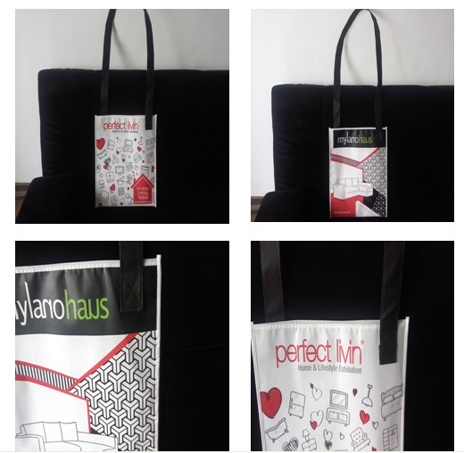 Non Woven Shopping Bag