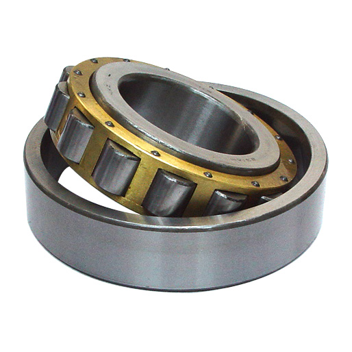 Nsk Nup204 Cylindrical Roller Bearings