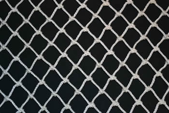 Nylon Bird Netting Protects The Buildings From Birds