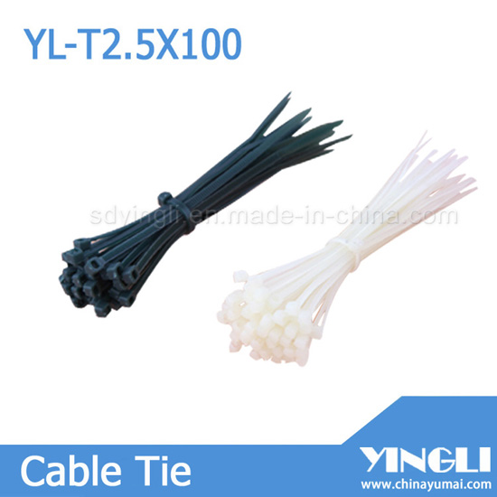 Nylon Cable Tie 2 5x100mm