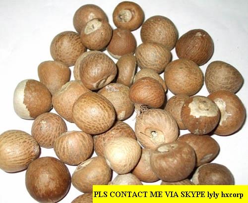 Offer Dried Betel Nuts From Viet Nam