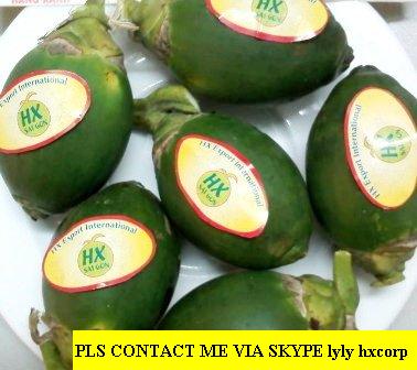 Offer Fresh Betel Nuts From Viet Nam