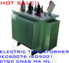 Oil Type Power Distribution Transformer 11kv 33kv22kv