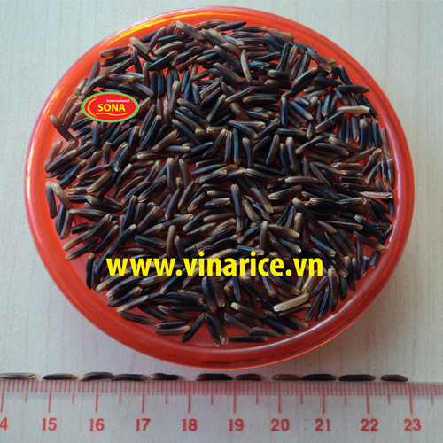 Organic Fragrant Black Rice Best Offer