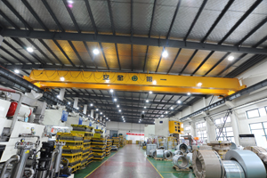 Overhead Cranes For Sale