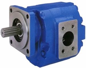 Parker Commercial P31 P51 P76 Replacement Pump