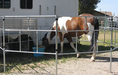 Portable Horse Panels Are Lightweight For Easy Assembly