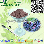 Pure Natural Lonicera Caerulea Powder