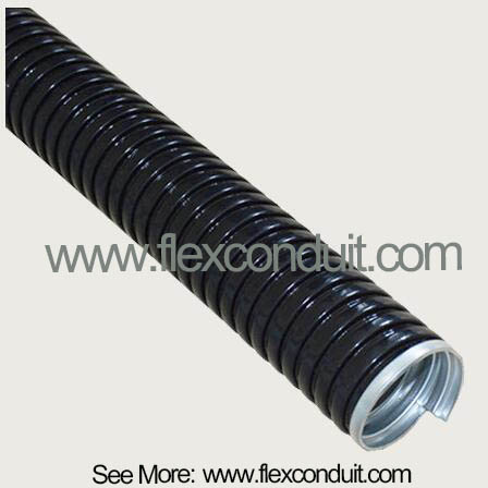 Pvc Coated Conduit