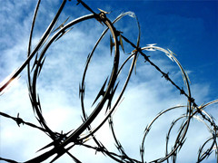 Razor Wire Fence