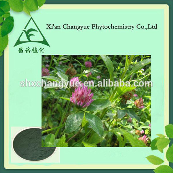 Red Clover Extract Powder To Regulate The Body Symptoms