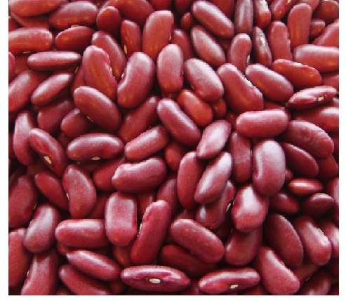 Red Kidney Beans Rajma