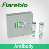 Rims4 Specific Antibody