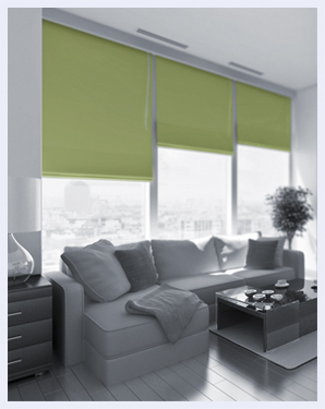 Roller Shades Blinds