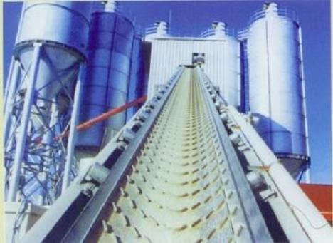 Savatech Chevron Conveyor Belts