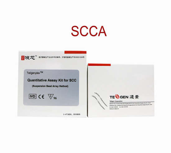 Scca Squamous Cell Carcinoma Antigen