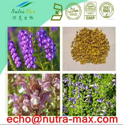 Scutellaria Baicalensis Extract