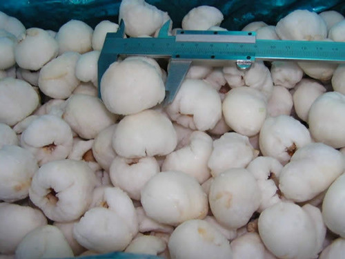 Sell Frozen Lychee Whole