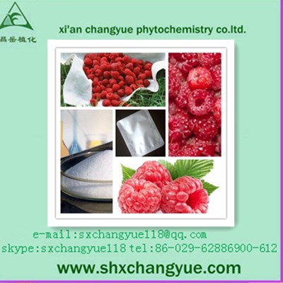 Sell Honey Top Raspberry Ketone Extract