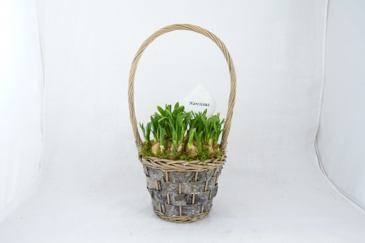 Sell Wood Flower Basket Willow Garden