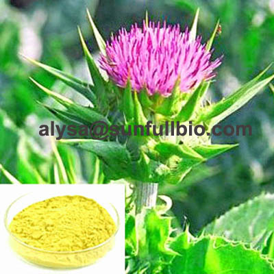 Silymarin Milk Thistle Extract