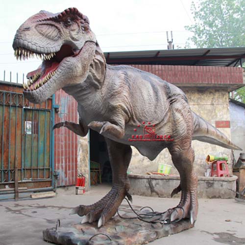 Simulation Dinosaur Model Outdoor And Indoor Equipments