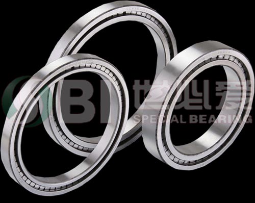 Single Row Full Complement Cylindrical Roller Bearing