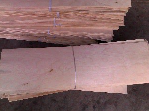 Skateboard Maple Veneer