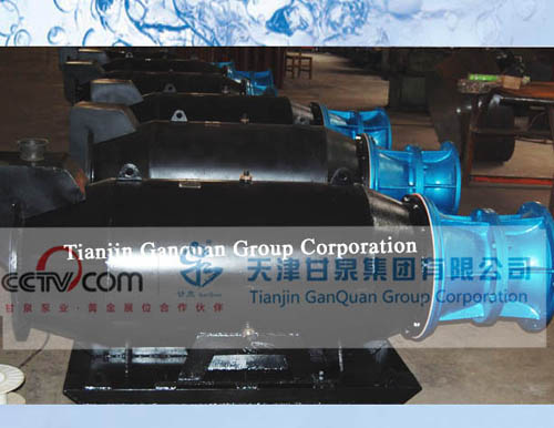 Sleigh Floating Type Axial Flow Pump