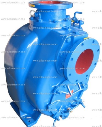 Solids Handling Trash Pump