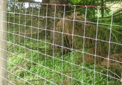 Square Knot Fence For Livestock Farming