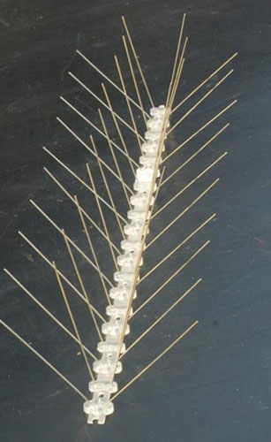 Stainless Steel Bird Spikes