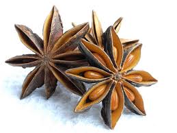 Star Anise Seed H T Sao I