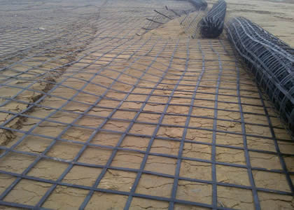 Steel Plastic Geogrid