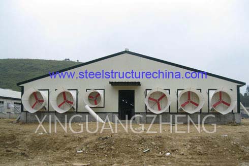 Steel Structure Pig Shed Poultry House