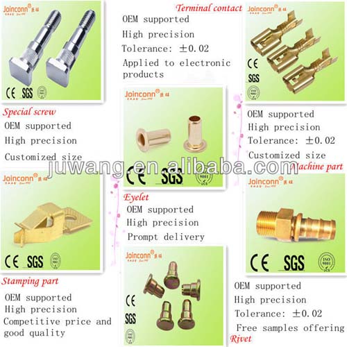 Terminal Stamped Parts Eyelet Rivets Machined Part Special Screw