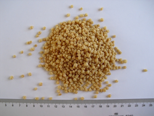 Textured Soy Protein