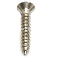 Titanium Self Taping Screws