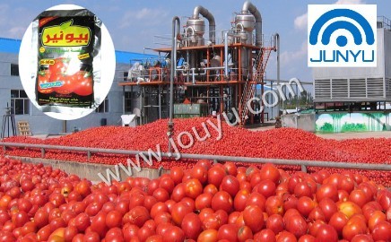 Tomato Paste Production Line